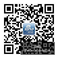 重制版销量,狂飙,超越,皇冠网官网,皇冠网官网App,皇冠网官网下载,皇冠网官网登录,皇冠网官网平台